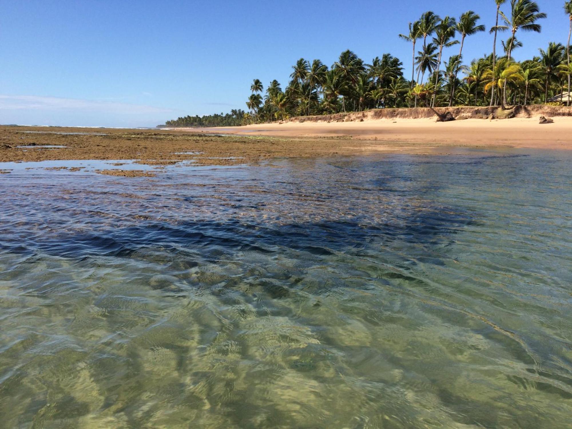 Pousada Velas E Vento - Barra Grande, Taipu De Fora, Marau Barra Grande  Exteriér fotografie