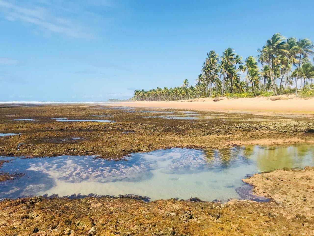 Pousada Velas E Vento - Barra Grande, Taipu De Fora, Marau Barra Grande  Exteriér fotografie